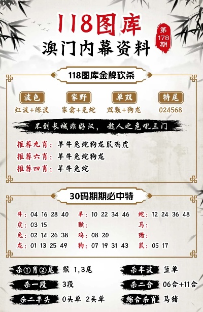 澳门王中王100,网络分析方案落实_小巧版61.013