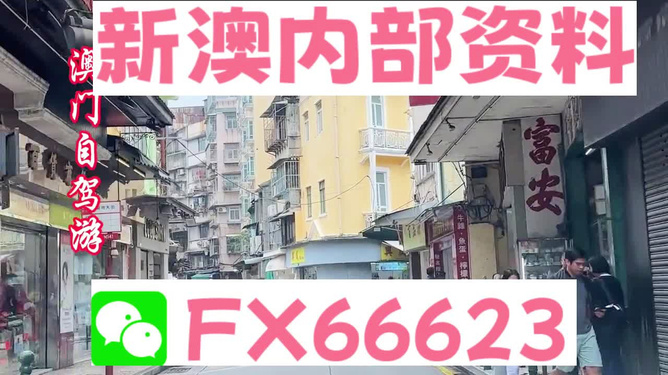 新澳资料最准的网站,经典解释落实_领航版26.885