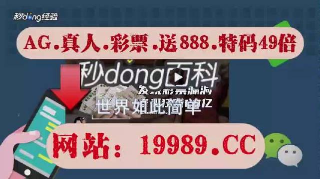 2024新澳门天天开好彩,准时解答解释落实_便民版78.9